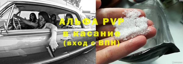прущие грибы Алексеевка