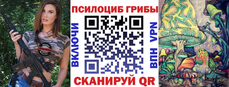 Галлюциногенные грибы Psilocybine cubensis  ссылка на мегу вход  Ейск 