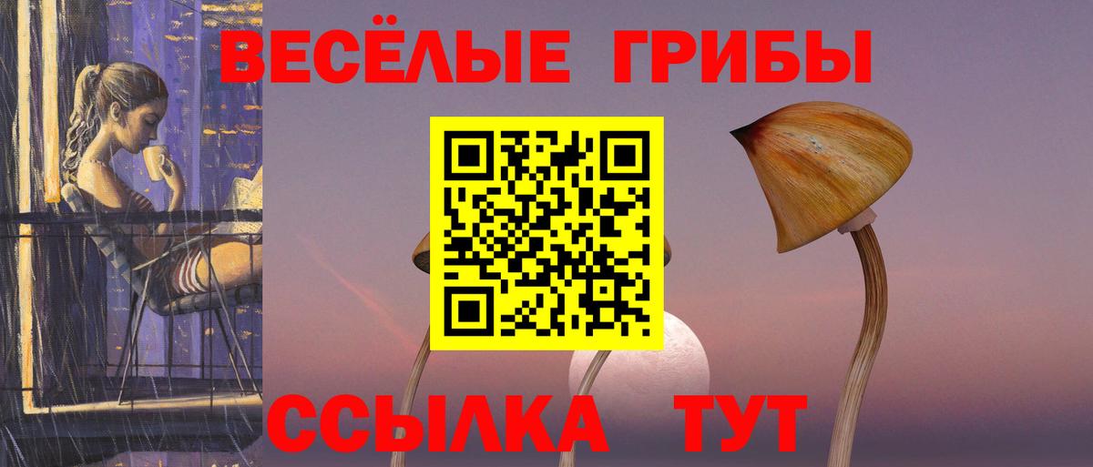 Псилоцибиновые грибы GOLDEN TEACHER  Псилоцибиновые грибы Cubensis  Ейск  Вход с VPN 